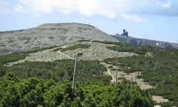POLTURIZM